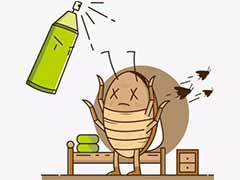 家用哪种蟑螂药有效？ 