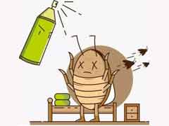 在外租房子，有蟑螂怎么办？ 