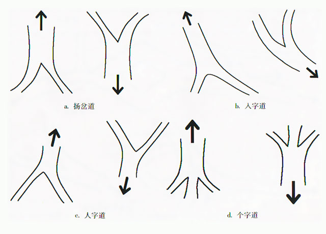 主巢方向与分岔方向相反
