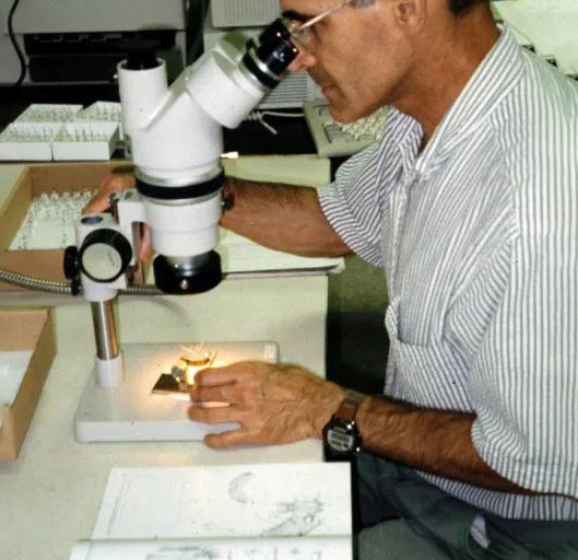 斯特里克曼博士在研究蚊媒疾病的预防工作