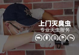 现场灭臭虫 