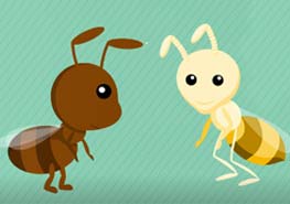 白蚁和蚂蚁是亲戚吗？ 