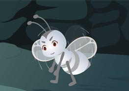 白蚁群中的生殖蚁为什么长翅膀？ 