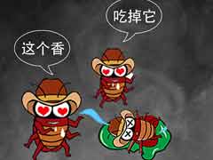 如何除蟑螂有效 