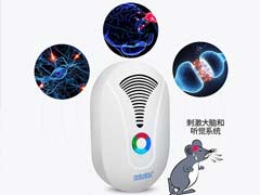 专业灭鼠公司之鼠类防制中的环境治理措施 
