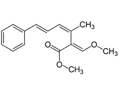 基于天然抗生素strobilurin A 为先导化合物开发的新型杀菌剂 