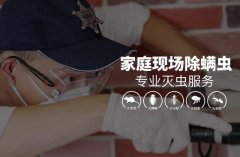 家庭现场灭螨虫 