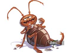蟑螂的危害性及灭蟑螂方法有哪些 
