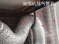 面对秋季虫害的入侵者应该如何处理？ 