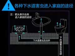 冬季防蚊虫的有效措施 