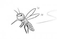 消灭蚊子常见的方式有哪些 