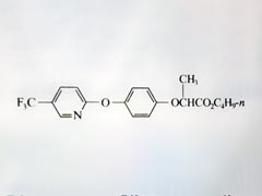 除草剂的防治对象及使用方法 