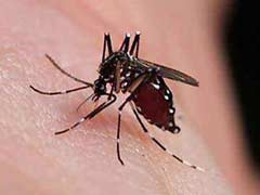 蚊子喜欢咬什么人以及如何预防被蚊虫叮咬 