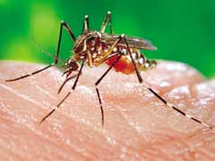 怎样能防止蚊子咬我？ 