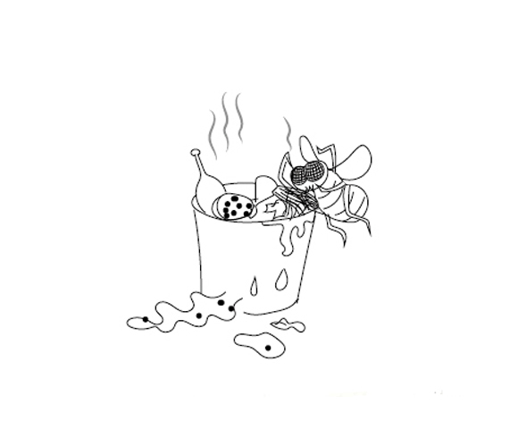 苍蝇—与屎共舞的人生