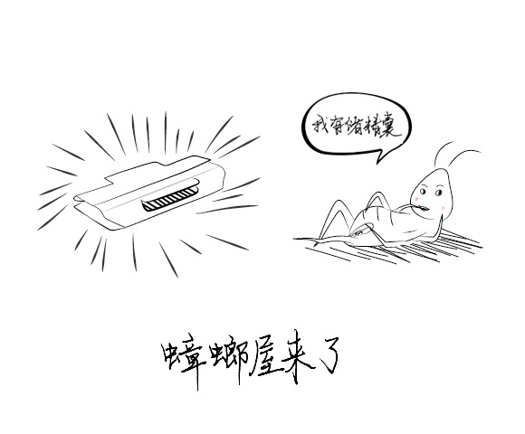 谁能真正制服蟑螂？