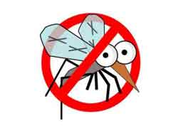 彻底消灭蚊子会有什么坏处吗？ 