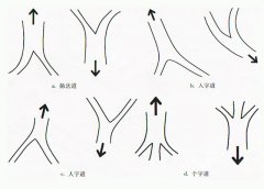 白蚁防治公司是如何找到白蚁巢穴的 