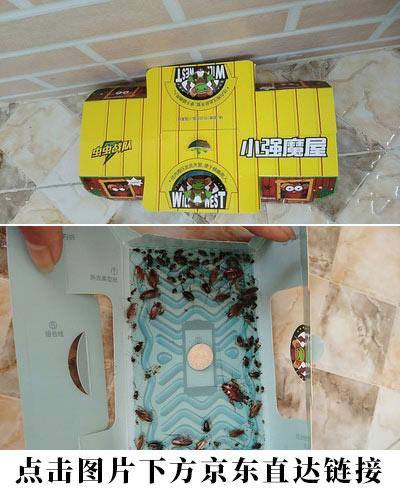 小强魔屋