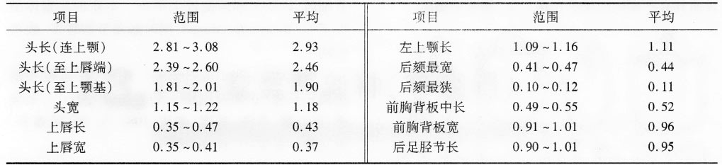 18头兵螱（白蚁）各体部量度
