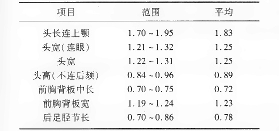 9头兵螱的度量
