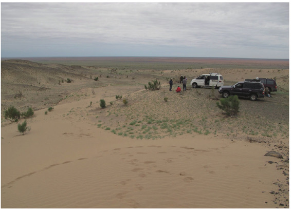 蒙古国南戈壁省的戈壁荒漠