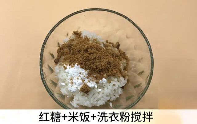引诱蟑螂的诱饵