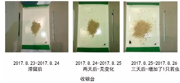 收银台处蟑螂的密度检测