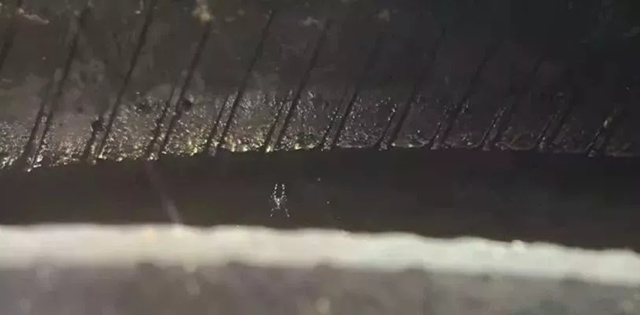 轮胎内的积水是蚊虫的温床
