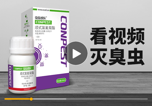 虫虫战队顺式氯氰菊酯