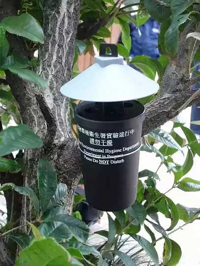 香港诱卵器监测工具