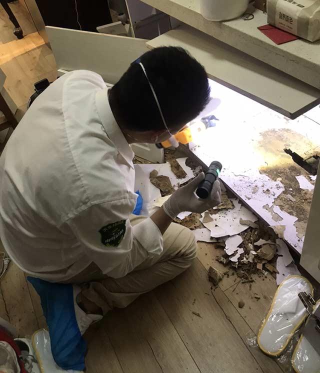 白蚁防治公司防治白蚁的有效方法