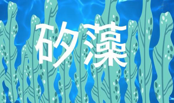矽藻土让跳蚤脱水而死
