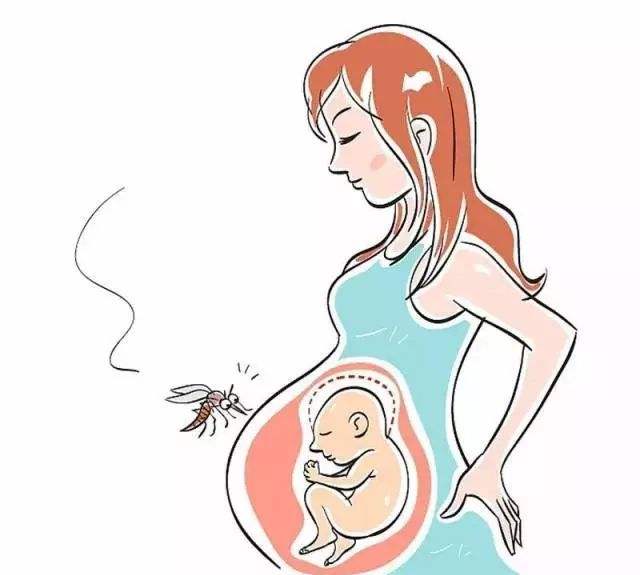 孕妇容易招惹蚊子