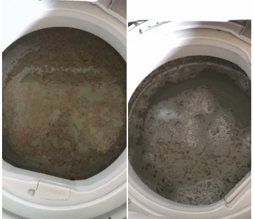 洗衣机内部的污垢