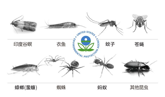 处理家庭常见60种害虫