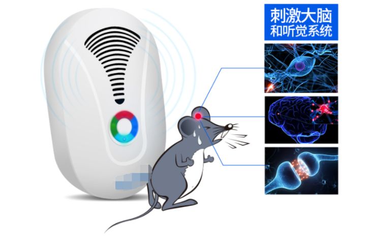 刺激老鼠神经