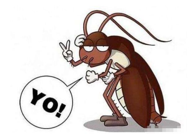 蟑螂