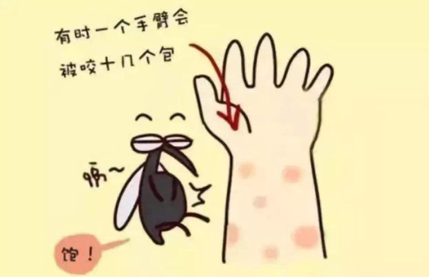 蚊子