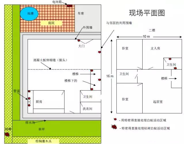 受白蚁侵害的房屋结构平面图