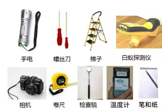 白蚁的检查工具