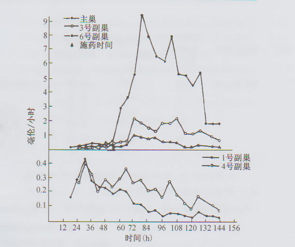 诱集箱施灭蚁药后主、副巢内能量变化关系