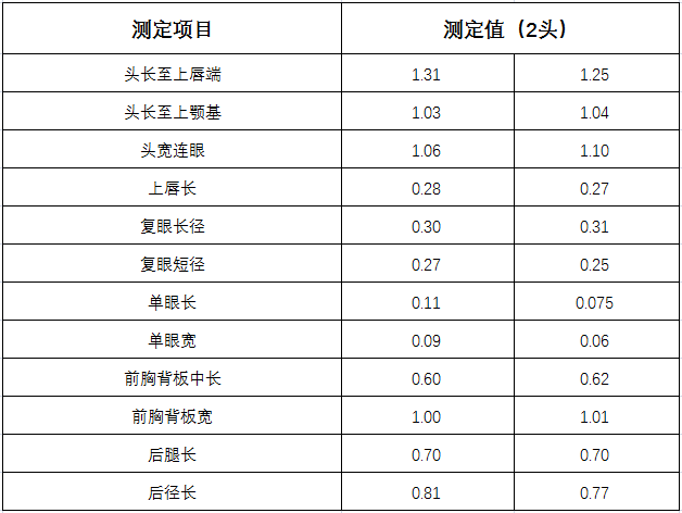 2头陇南树白蚁母蚁各体部测量结果