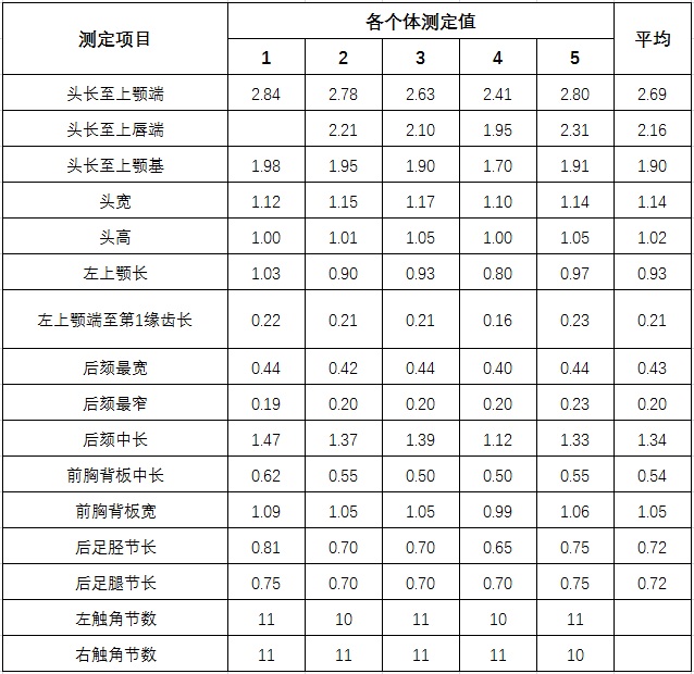 5头陇南树兵白蚁各体部量度