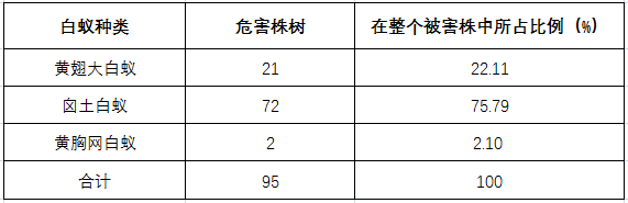 表2：三种白蚁危害杉木植株情况