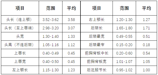 ７头兵蚁各体部的量度（单位：ｍｍ）