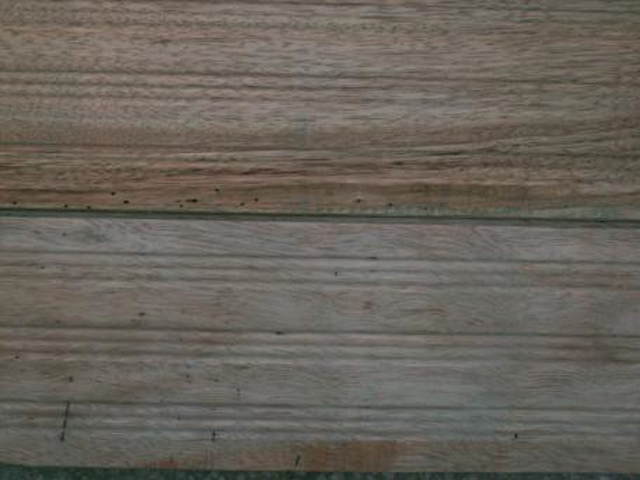 图 3-17.蚁无牌防虫剂涂刷处理的木地板