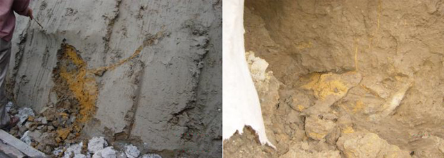 药浆在堤坝混凝土和芯土层内的分布(宋晓钢摄) (3) 白蚁监控装置预防