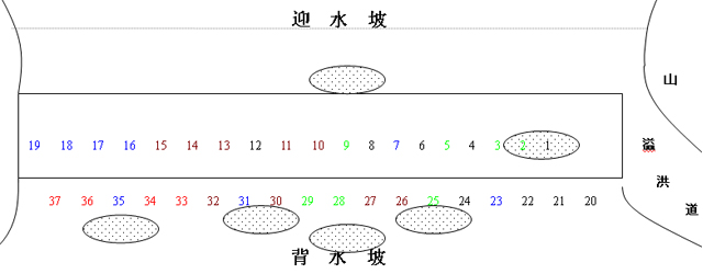 堤坝上白蚁分飞孔群(阴影区域)标记示意图