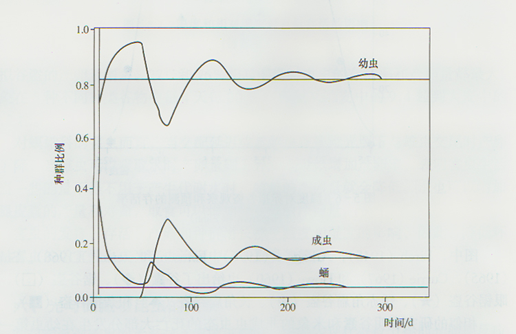 计算机模拟27℃下小麦水分为14%时的谷蠹种群结构变化 横线表示稳定的虫龄分布